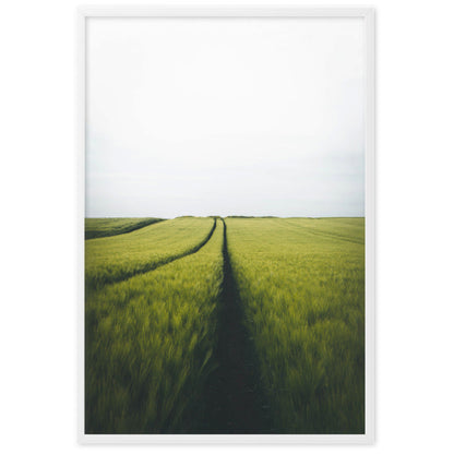 Gerstenfeld barley field - Poster Kuratoren von artlia artlia