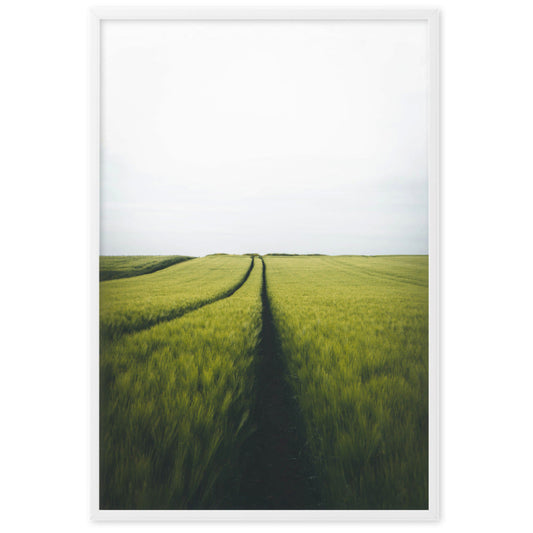 Gerstenfeld barley field - Poster Kuratoren von artlia artlia